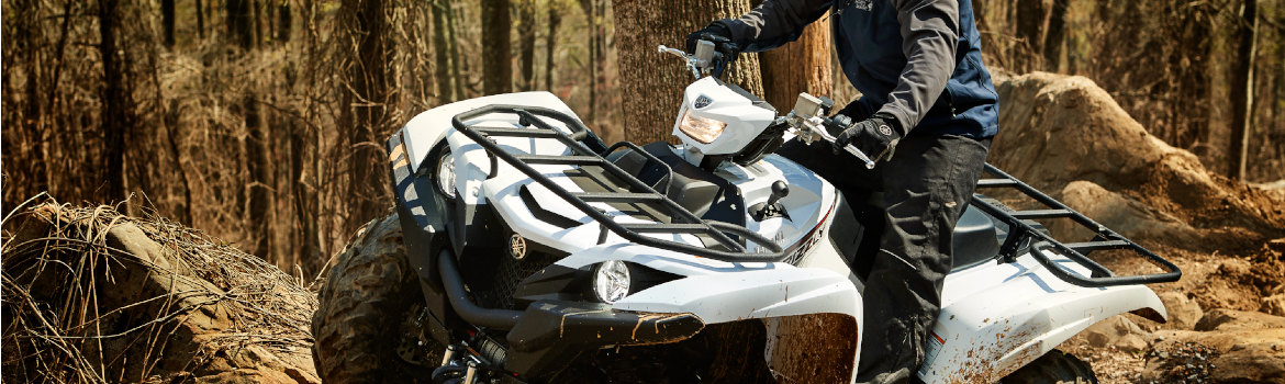 2019 Yamaha Grizzly EPS for sale in Fredericksburg Motor Sports, Fredericksburg, Virginia